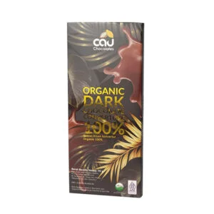 Organic Dark Chocolate 100% – 70 gr